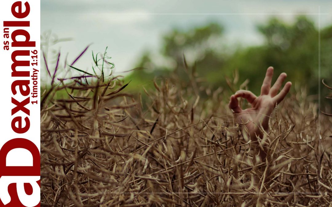 Good God (Psalm 136)