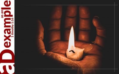 The Cost of Death (Psalm 116)