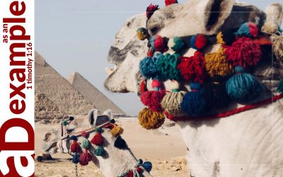 Unburdened (Isaiah 46:1–13)