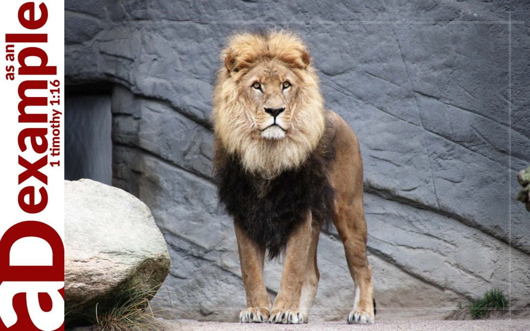 Heaven’s Court (Daniel 7:1–28)