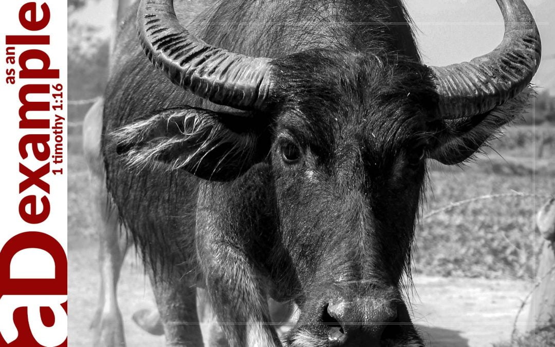 Blessed Humiliation (Daniel 4:1–37)