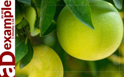 The Essence of Relationship (Hosea 4)