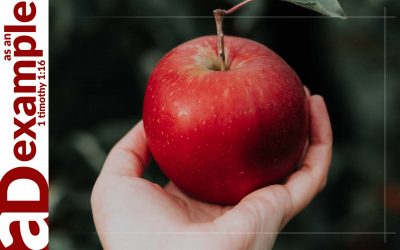 Taking Sin Seriously (Hosea 6:11–7:16)