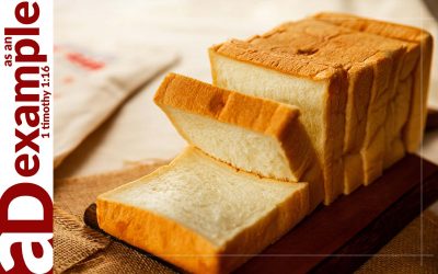 Extraordinarily Ordinary (Amos 1:1–2)