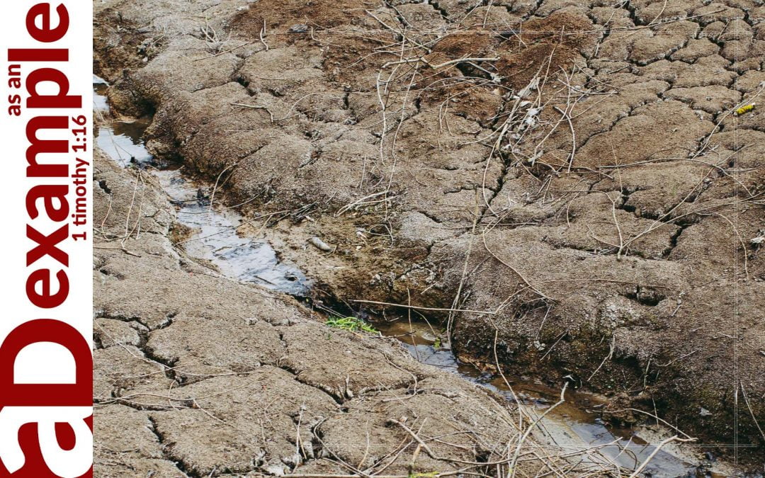 Silent Judgement (Amos 8)