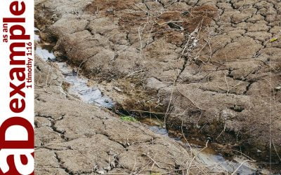 Silent Judgement (Amos 8)