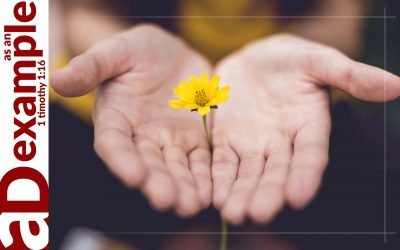 Hope in Judgement (Amos 9)