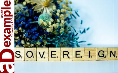 Sovereign Selfishness (Malachi Introduction)