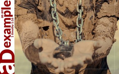 Belief Affects Behaviour