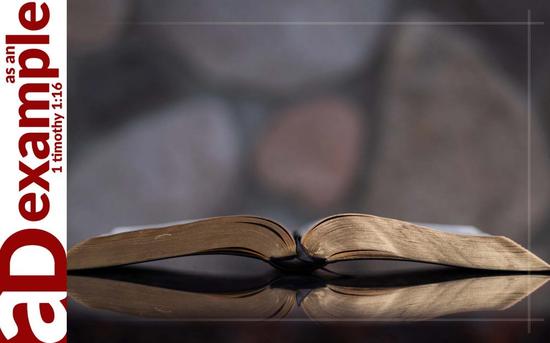 Devoted to BBC (2 Peter 1:16–21)