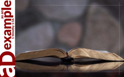 Devoted to BBC (2 Peter 1:16–21)