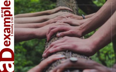 Hopeful Community (2 Peter 2:1–10)