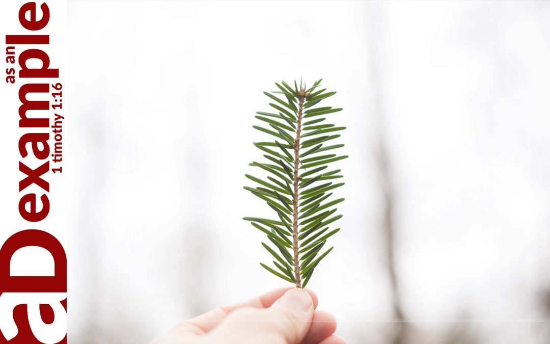 Hopeful Humility (1 Peter 5:1–5)