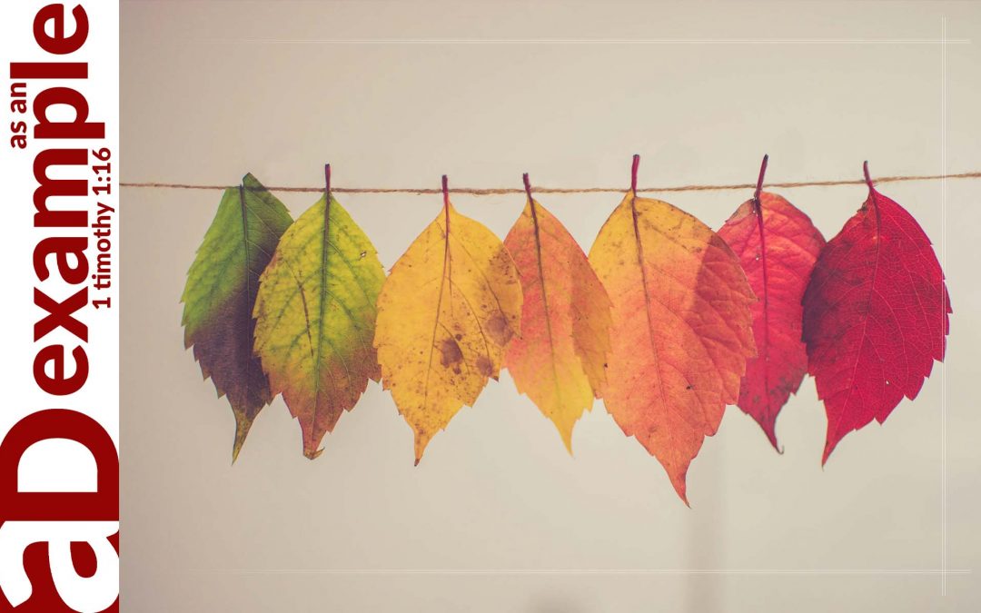 Hopeful Sanctification (1 Peter 4:1-6)