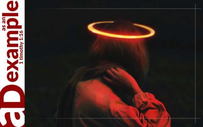 Privileged to Participate (2 Peter 1:3–11)