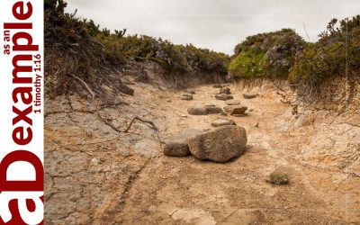 A Dry Stream (Job 6–7)