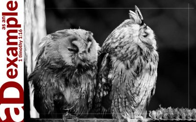 Offended by Grace (Job 15)