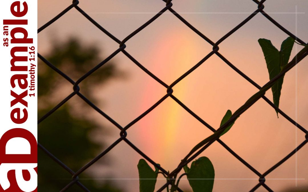 Covenant Renewal (Hebrews 12:18–29)