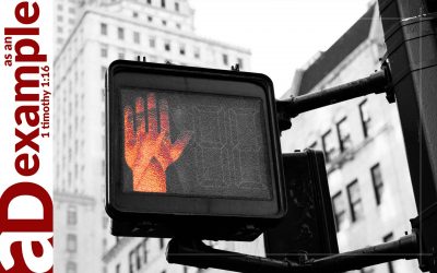 Not Yet (Job 29–31)