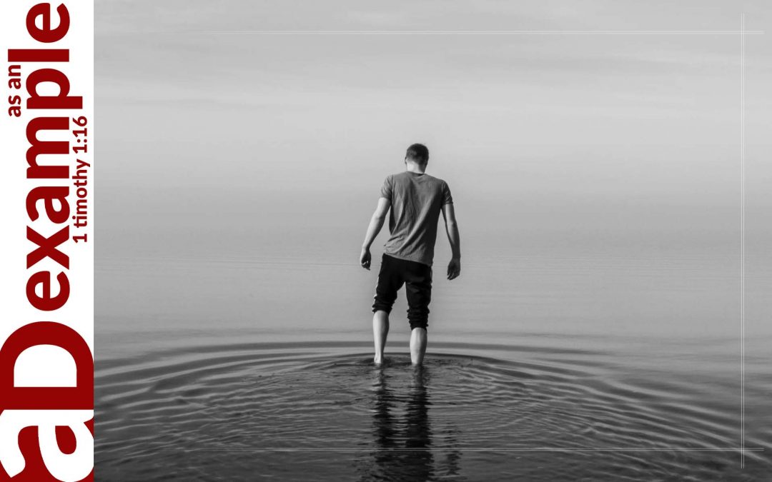 Seeing through the Shallowness (Job 21)