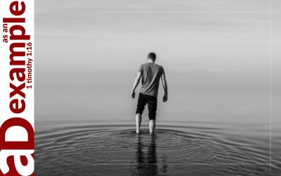 Seeing through the Shallowness (Job 21)