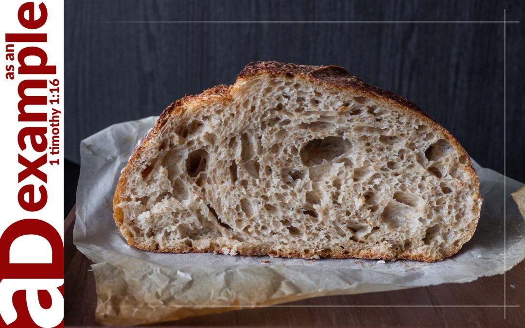 The Bread of Life (John 6:22–59)