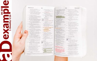 Black-Letter Christians