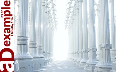 More than Information