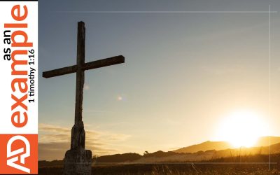 The way of the cross