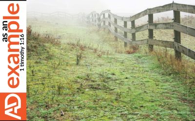 Drawing the Line: Why Wise Boundaries Are Not the Same as Bitterness