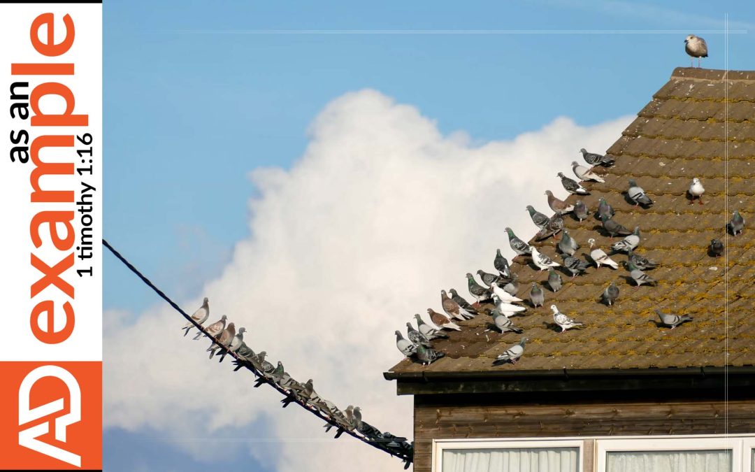 Forgiving Self: Biblical Category or Meaningless Psychobabble?