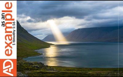 God the Father: Source and Goal of All Things