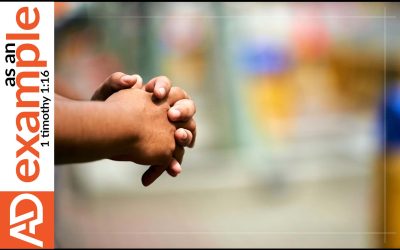 The Trinity and the Christian Life: Why the Truth about God Demands Undivided Devotion