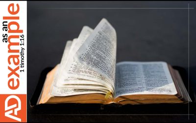 Creeds and confessions: A biblical basis